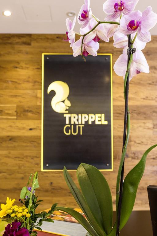 Trippelgut - Schlafgut Hotel Feldkirchen in Kärnten Buitenkant foto